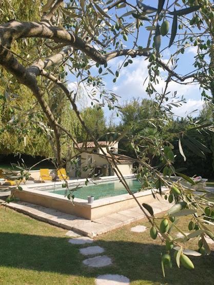 Mas Des Muses Bed and Breakfast LʼIsle-sur-la-Sorgue Exteriör bild